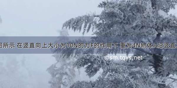 如图所示 在竖直向上大小为10N的力F的作用下 重为4N物体A沿竖直方向