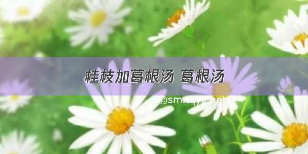 桂枝加葛根汤 葛根汤