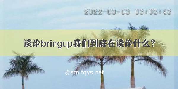 谈论bringup我们到底在谈论什么？