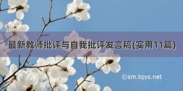 最新教师批评与自我批评发言稿(实用11篇)