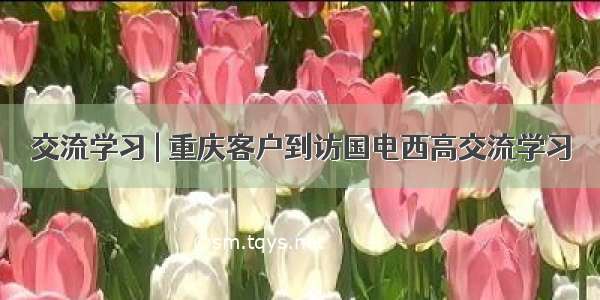 交流学习 | 重庆客户到访国电西高交流学习