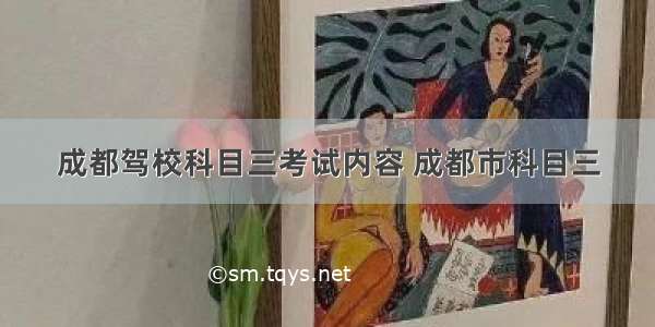 成都驾校科目三考试内容 成都市科目三