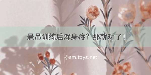 悬吊训练后浑身疼？那就对了！