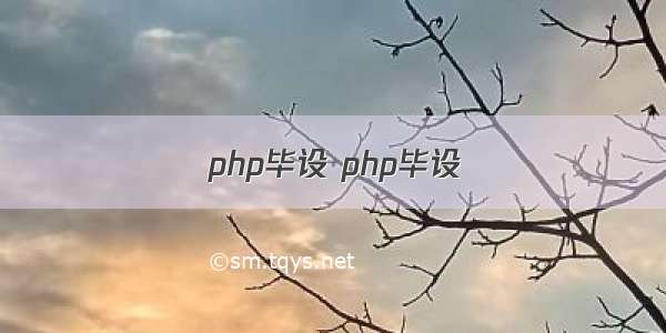 php毕设 php毕设