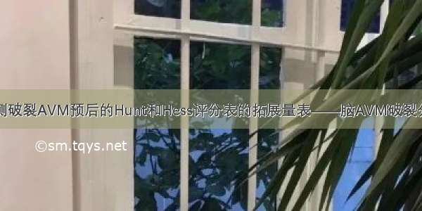 用于预测破裂AVM预后的Hunt和Hess评分表的拓展量表——脑AVM破裂分级量表