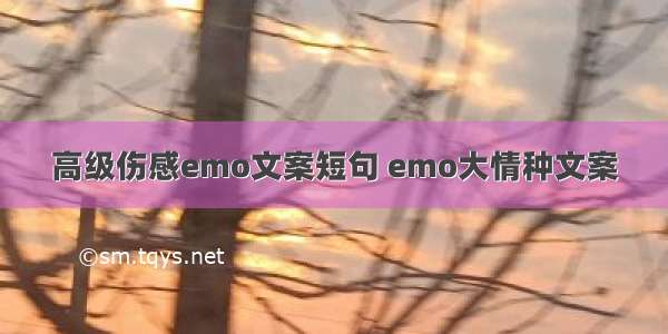 高级伤感emo文案短句 emo大情种文案