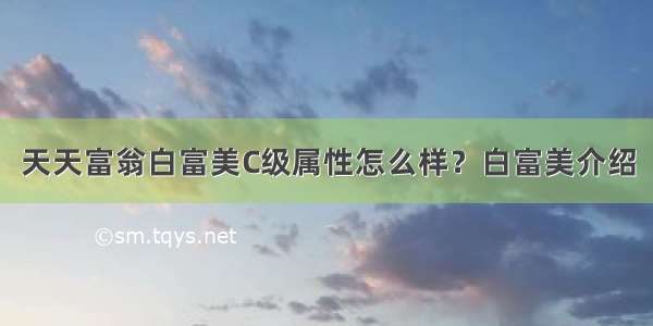 天天富翁白富美C级属性怎么样？白富美介绍