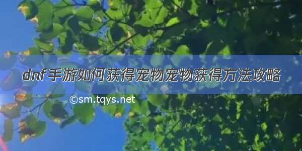 dnf手游如何获得宠物宠物获得方法攻略