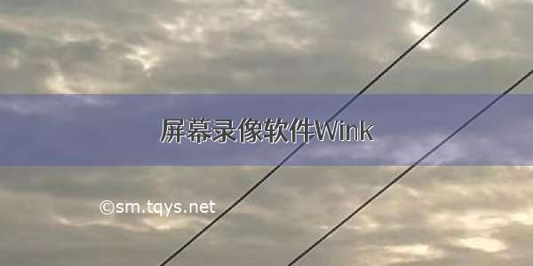 屏幕录像软件Wink