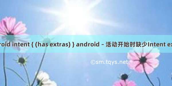 android intent { (has extras) } android – 活动开始时缺少Intent extras