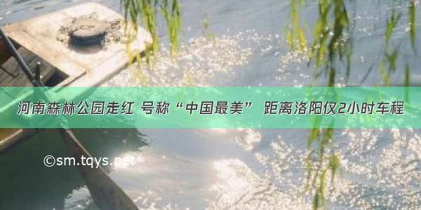 河南森林公园走红 号称“中国最美” 距离洛阳仅2小时车程