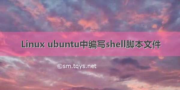 Linux ubuntu中编写shell脚本文件