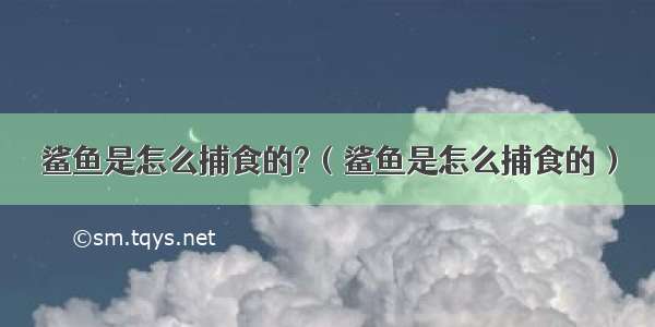 鲨鱼是怎么捕食的?（鲨鱼是怎么捕食的）