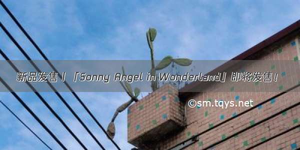 新品发售丨「Sonny Angel in Wonderland」即将发售！