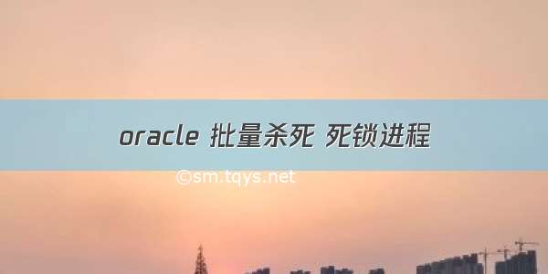 oracle 批量杀死 死锁进程