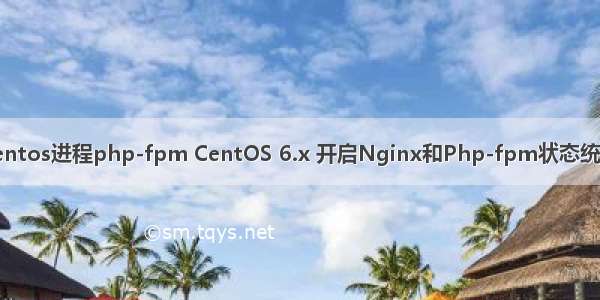 centos进程php-fpm CentOS 6.x 开启Nginx和Php-fpm状态统计