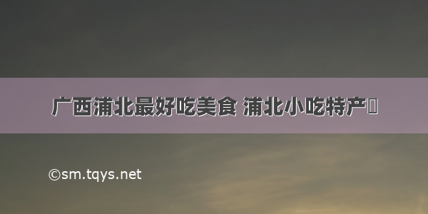 广西浦北最好吃美食 浦北小吃特产籺