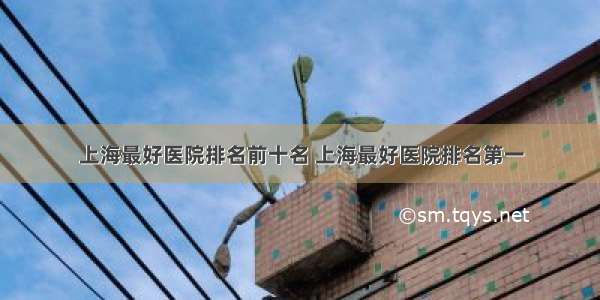 上海最好医院排名前十名 上海最好医院排名第一