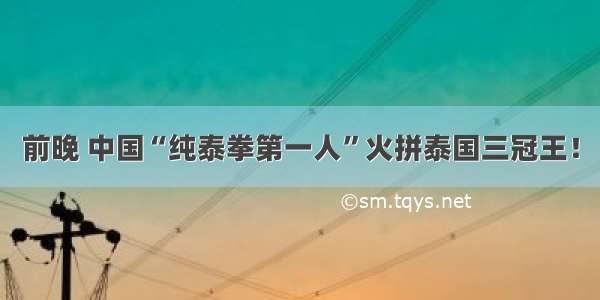 前晚 中国“纯泰拳第一人”火拼泰国三冠王！