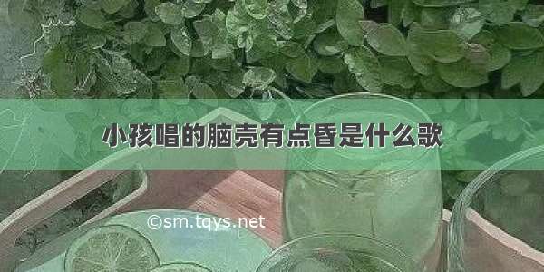 小孩唱的脑壳有点昏是什么歌