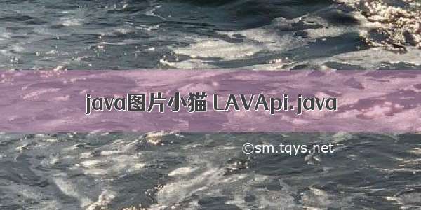 java图片小猫 LAVApi.java