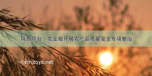 陕西印台：农业局开展农产品质量安全专项整治