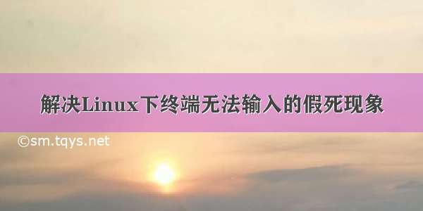 解决Linux下终端无法输入的假死现象