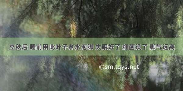 立秋后 睡前用此叶子煮水泡脚 失眠好了 细菌没了 脚气远离