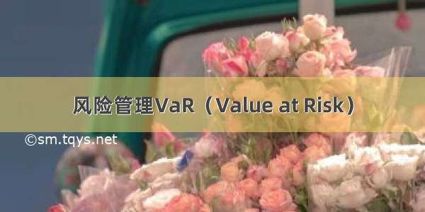 风险管理VaR（Value at Risk）