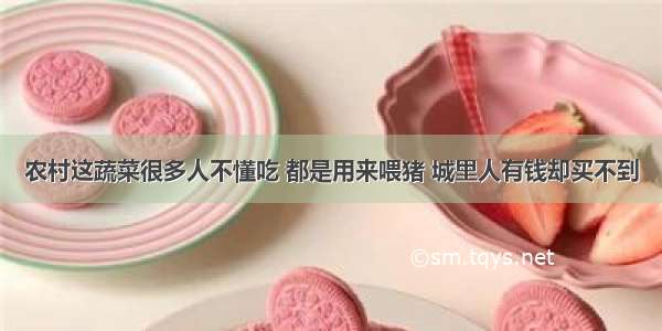 农村这蔬菜很多人不懂吃 都是用来喂猪 城里人有钱却买不到