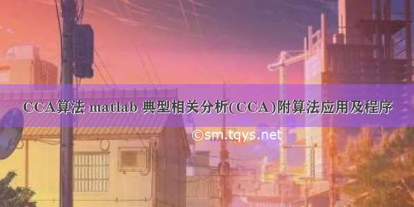 CCA算法 matlab 典型相关分析(CCA)附算法应用及程序