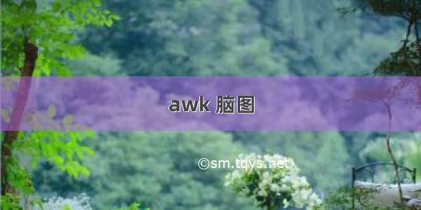 awk 脑图