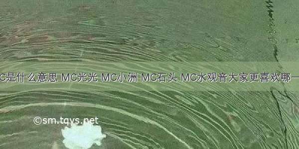 MC是什么意思 MC光光 MC小洲 MC石头 MC水观音大家更喜欢哪一位