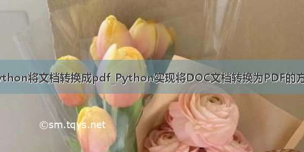 python将文档转换成pdf_Python实现将DOC文档转换为PDF的方法