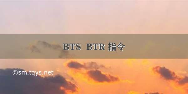 BTS  BTR 指令