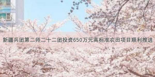 新疆兵团第二师二十二团投资650万元高标准农田项目顺利推进