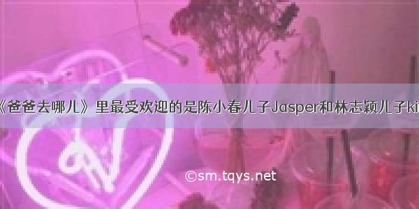 《爸爸去哪儿》里最受欢迎的是陈小春儿子Jasper和林志颖儿子kimi