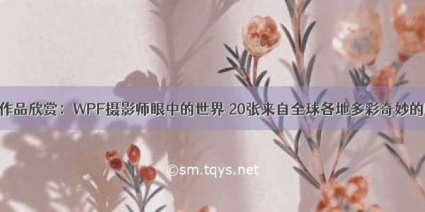 摄影作品欣赏：WPF摄影师眼中的世界 20张来自全球各地多彩奇妙的瞬间