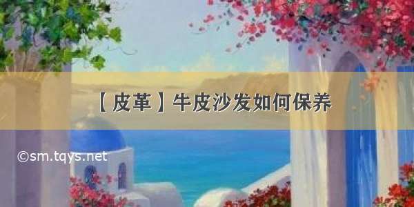 【皮革】牛皮沙发如何保养