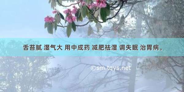 舌苔腻 湿气大 用中成药 减肥祛湿 调失眠 治胃病。