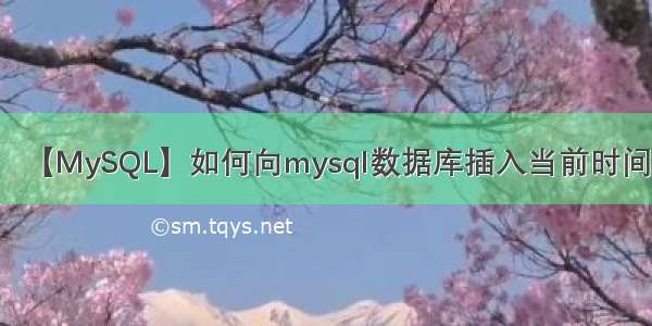 【MySQL】如何向mysql数据库插入当前时间