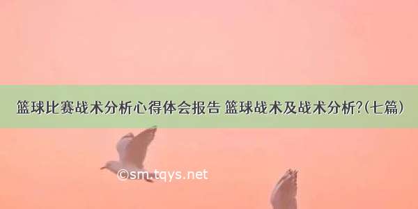 篮球比赛战术分析心得体会报告 篮球战术及战术分析?(七篇)