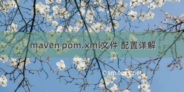 maven pom.xml文件 配置详解