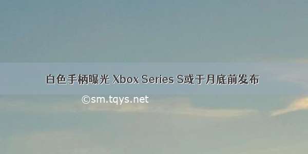 白色手柄曝光 Xbox Series S或于月底前发布