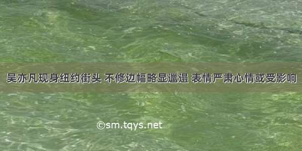 吴亦凡现身纽约街头 不修边幅略显邋遢 表情严肃心情或受影响