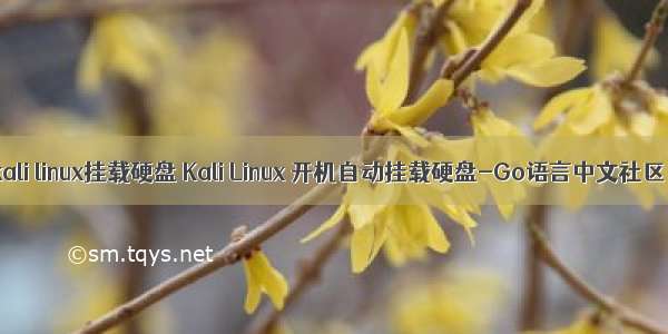 kali linux挂载硬盘 Kali Linux 开机自动挂载硬盘-Go语言中文社区