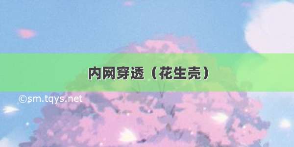 内网穿透（花生壳）