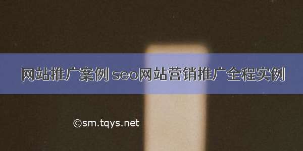 网站推广案例 seo网站营销推广全程实例