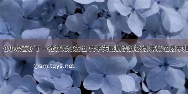 《小欢喜》丁一抢救无效去世 英子失眠崩溃到极点 宋倩茫然不知