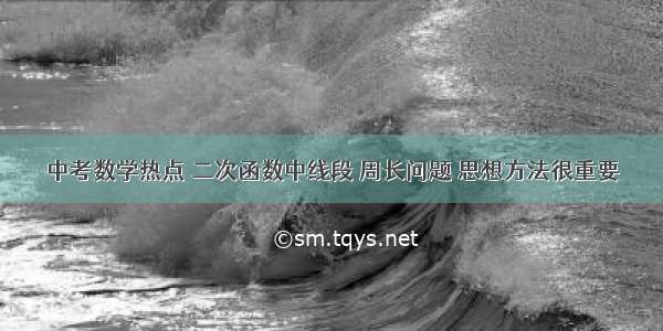 中考数学热点 二次函数中线段 周长问题 思想方法很重要